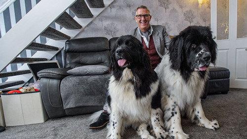 Dogs Behaving (Very) Badly Season 4 Episode 1 - Episode 1