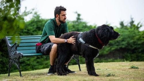 The Dog House Season 2 Episode 1 - Episode 1