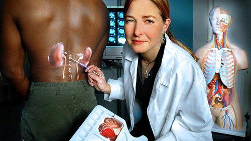 Background image for Male Reproductive Organs