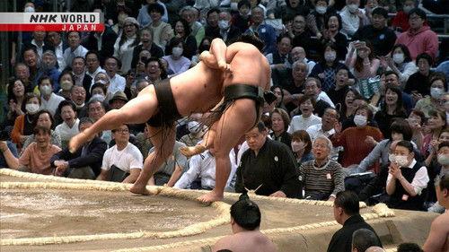 GRAND SUMO Highlights Season 16 Episode 11 - Day 11