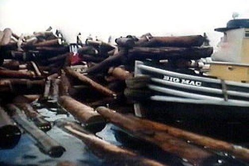 TUGS Season 1 Episode 8 - Quarantine