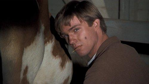 The Waltons Season 1 Episode 14 - The Minstrel