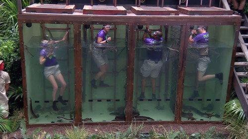 I'm a Celebrity...Get Me Out of Here! Season 19 Episode 12 - The Reckonings: The Sinister Circus / The Bad Banquet / Dead Ringers