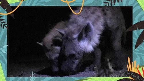 Kukurota Season 4 Episode 3 - Episode 3