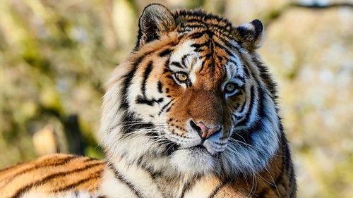 Animal Park Season 22 Episode 1 - Summer 2023: Episode 1