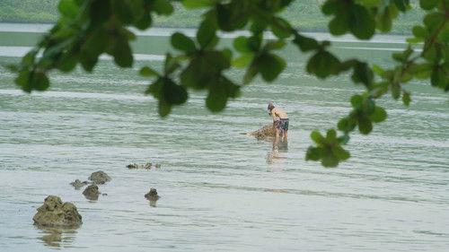 Robinson Season 24 Episode 20 - Episode 20