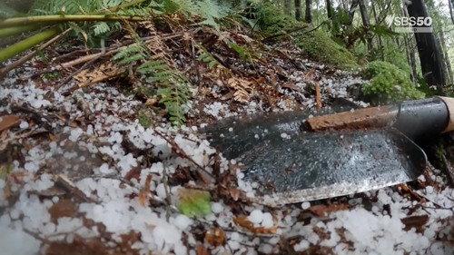 Alone Australia Season 3 Episode 11 - Episode 11