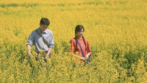 Love Story in the 1970s Season 1 Episode 7 - Episode 7