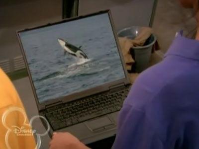 The Suite Life on Deck Season 2 Episode 25 - I Brake For Whales