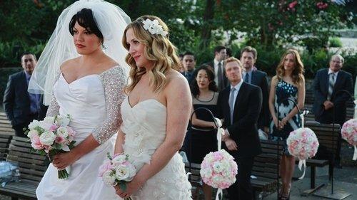 Grey's Anatomy Season 7 Episode 20 - White Wedding