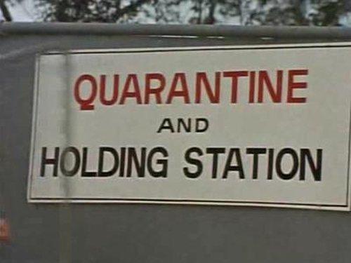 Skippy the Bush Kangaroo Season 1 Episode 7 - Dead or Alive