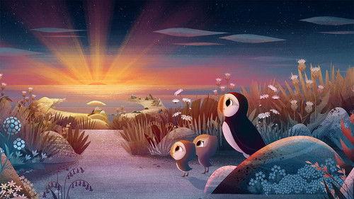 Puffin Rock Season 3 Episode 3 - Rise and Shine