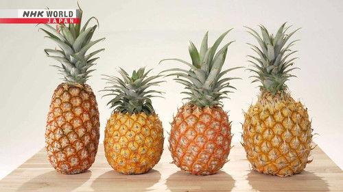 Trails to Oishii Tokyo Season 7 Episode 9 - Pineapple