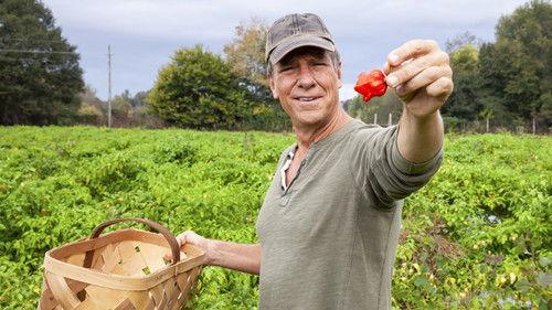 Dirty Jobs Season 11 Episode 2 - Feral Cat Fixer / Reaper Keeper