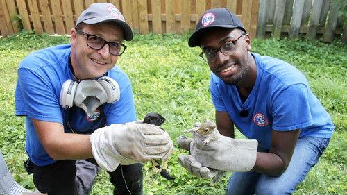 Louis and the Urban Jungle Season 4 Episode 12 - Episode 12