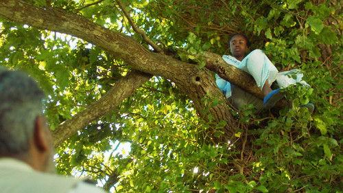 Malory Towers Season 5 Episode 8 - The Malory Oak