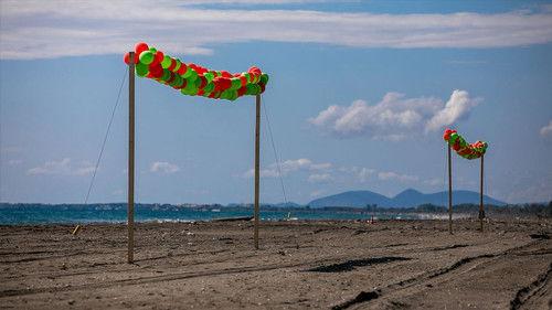 Wie is de Mol? Season 22 Episode 2 - Episode 2