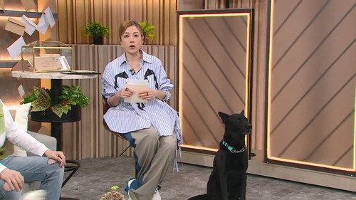 晚吹 - Chat KP Season 1 Episode 25 - Episode 25