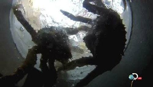 Deadliest Catch Season 9 Episode 5 - Judgement Day