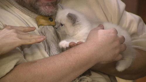 Piet Piraat Season 2 Episode 5 - Episode 5