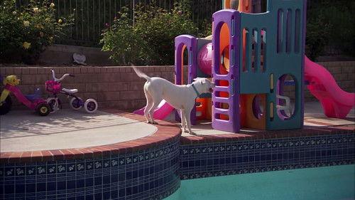 Pit Bulls and Parolees Season 2 Episode 1 - Return to the Ranch