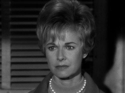 undefined Season 9 Episode 8 - The Case of the Twelfth Wildcat