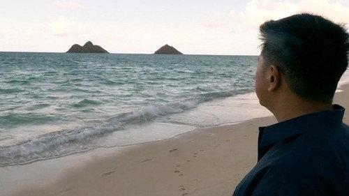 When Sharks Attack Season 4 Episode 4 - Hawaiian Shockwave