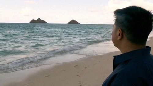 When Sharks Attack Season 4 Episode 4 - Hawaiian Shockwave