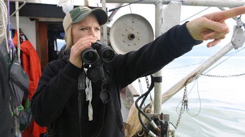 Background image for This Must Be the Place