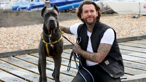 Pete Wicks: For Dogs’ Sake Season 2 Episode 3 - Hugo And The Ice Cream Pups