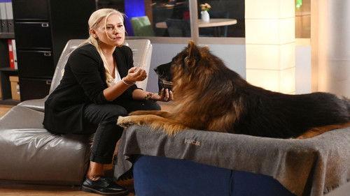 Komisarz Alex Season 20 Episode 9 - Episode 9