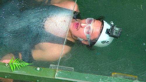 Ich bin ein Star – Holt mich hier raus! Season 8 Episode 10 - Episode 10