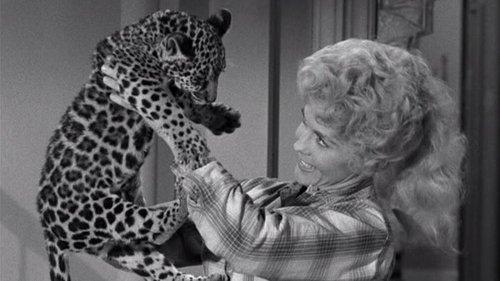 The Beverly Hillbillies Season 2 Episode 25 - Granny Versus the Weather Bureau