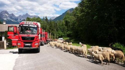 Asphalt-Cowboys Season 10 Episode 7 - Local control