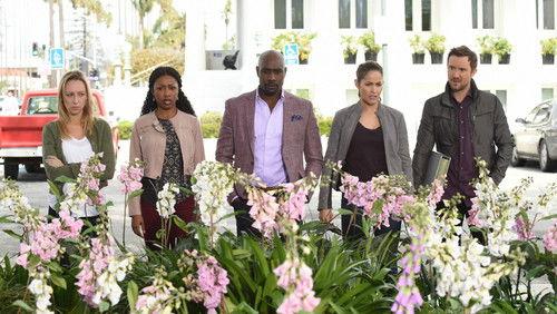 undefined Season 2 Episode 20 - Calliphoridae & Country Roads