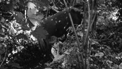 Poly Season 1 Episode 9 - Episode 9