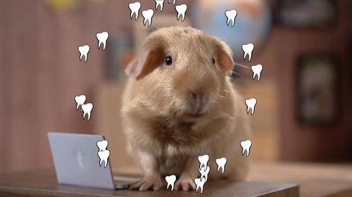 Cochon dingue Season 1 Episode 9 - Episode 9