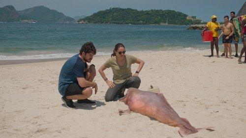 Background image for Wish You Were Here