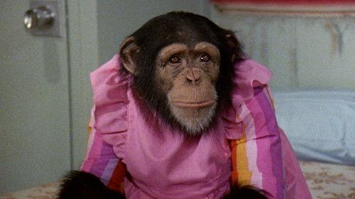 The Love Boat Season 1 Episode 14 - Isaac's Double Standard/One More Time/Chimpanzeeshines