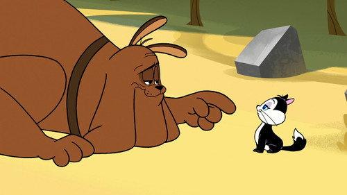 New Looney Tunes Season 3 Episode 12 - Pussyfoot Soldier