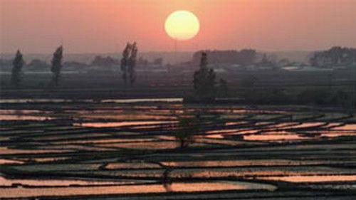 A Bite of China Season 3 Episode 7 - Season