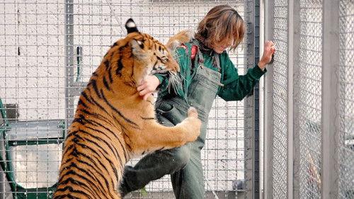 Tierärztin Dr. Mertens Season 2 Episode 1 - Episode 1