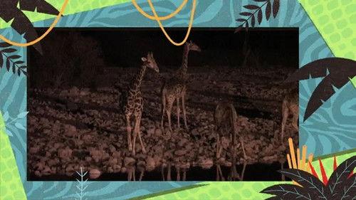 Kukurota Season 3 Episode 3 - Episode 3