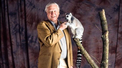 The Life of Mammals Season 1 Episode 7 - Return to the Water