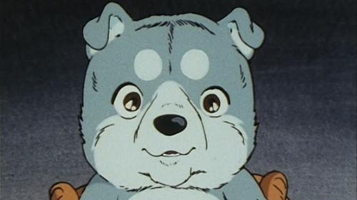 Silver Fang: The Shooting Star Gin Season 1 Episode 1 - The Birth of Gin, a Little Hero!