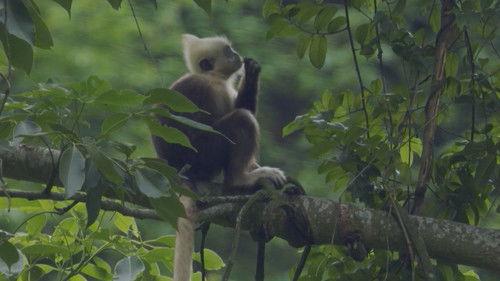 Unexplored Land Season 1 Episode 9 - Episode 9