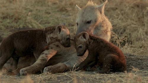 Mamas Season 1 Episode 13 - Hyena