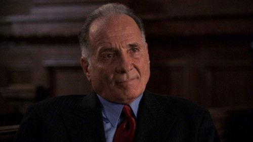 Law & Order Season 15 Episode 8 - Cry Wolf