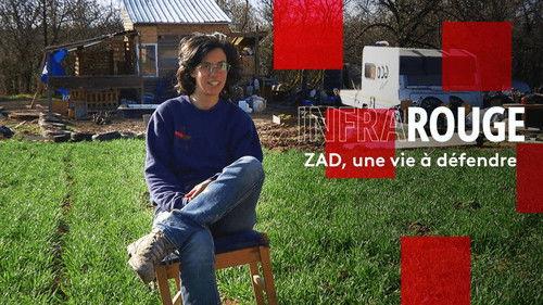 Infrarouge Season 15 Episode 14 - Episode 14