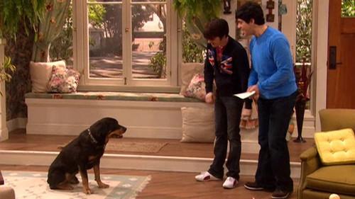 Drake & Josh Season 4 Episode 2 - Vicious Tiberius